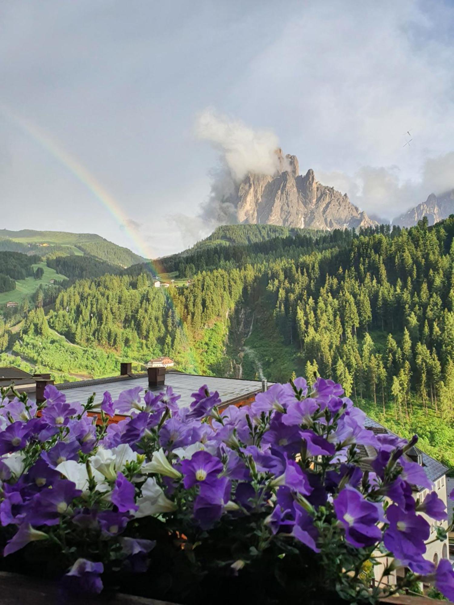 Hotel Garnì Cir Santa Cristina Val Gardena Esterno foto